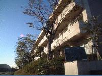 三木高校剪定